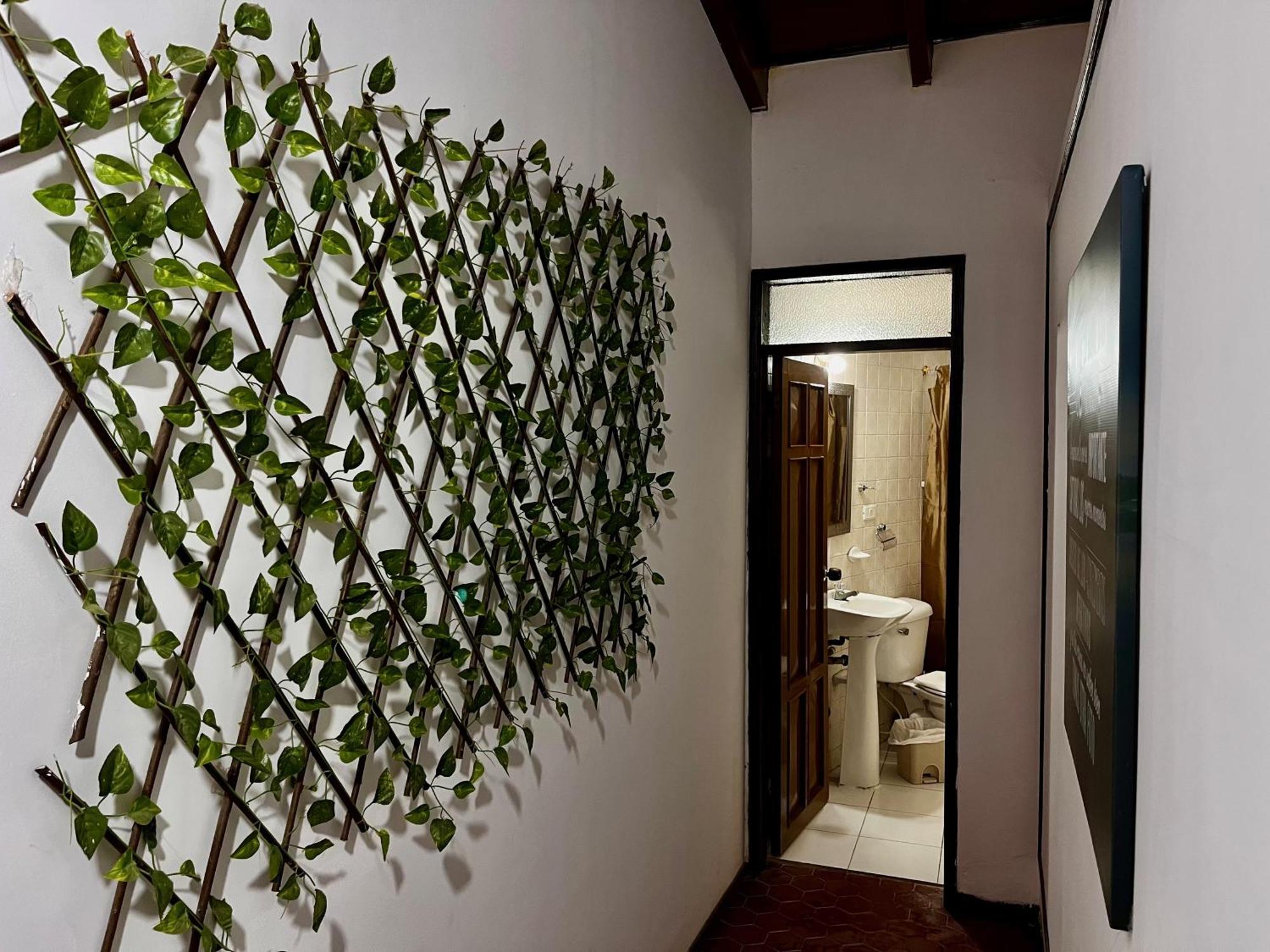 The Chill In Mansion Hostel Santa Marta Exterior foto