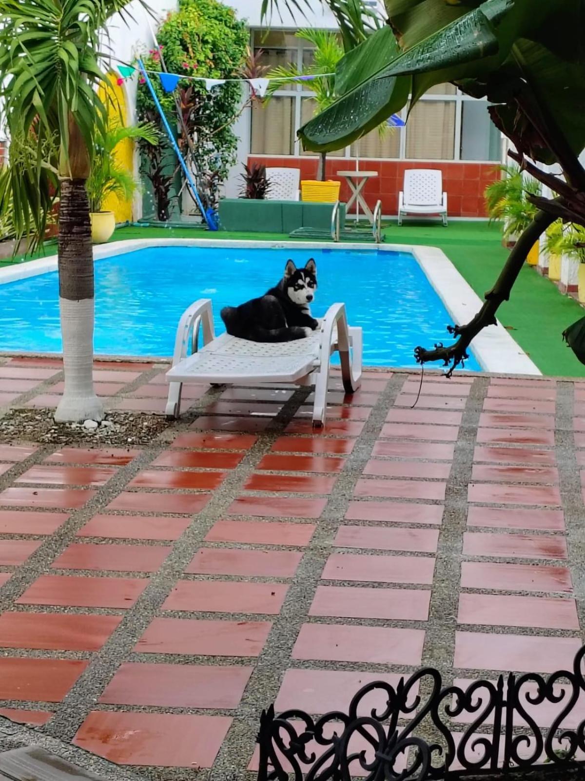 The Chill In Mansion Hostel Santa Marta Exterior foto